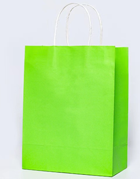 Gift Paper Bags - 12pcs